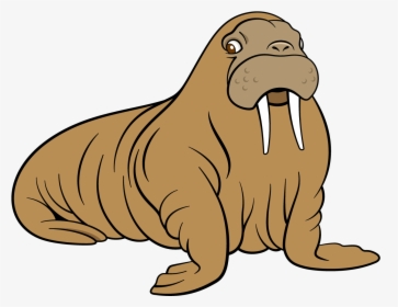 Sea Lion Dog Transprent - Clip Art Sea Lion, HD Png Download, Free Download