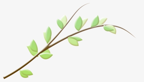 Branch Leaf Twig - Twig, HD Png Download, Free Download