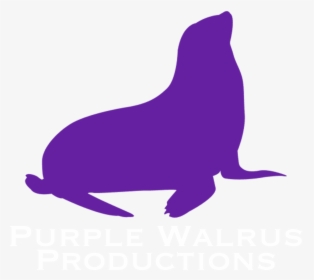 Purple Walrus Productions - California Sea Lion, HD Png Download, Free Download