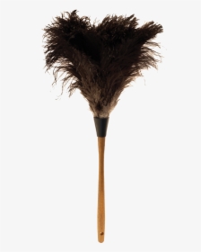 Ostrich Feather Png - Ostrich Feather Duster Png, Transparent Png, Free Download