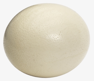 Pearl White Ostrich Egg - Ostrich Egg Png, Transparent Png, Free Download