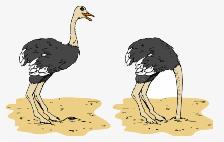 Ostrich - Ostrich Head In Sand Cartoon Clipart, HD Png Download, Free Download