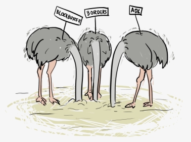 Ostrich Clipart Sand - Ostrich Free Cartoon, HD Png Download, Free Download