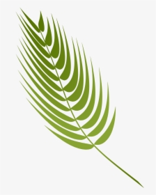 Transparent Palm Sunday Png - Palm Sunday Hd Png, Png Download, Free Download