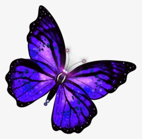 #freetoedit #butterfly #glowing #glow #blue #purple, HD Png Download, Free Download