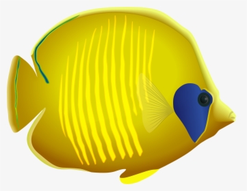 Yellow Fish Png Clipart, Transparent Png, Free Download