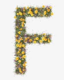 Flower Typography, HD Png Download, Free Download