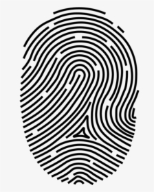 Fingerprint Transparent Abstract - Finger Print Vectors, HD Png Download, Free Download