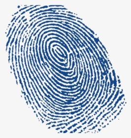 67827 - Blue Fingerprint Png, Transparent Png, Free Download