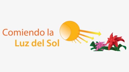 Comiendo La Luz Del Sol - Circle, HD Png Download, Free Download