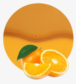 Orange Juice, HD Png Download, Free Download