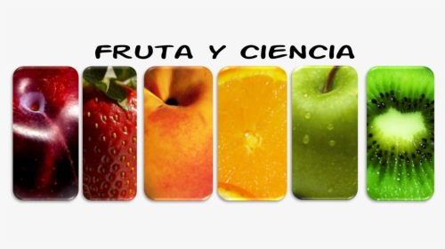Cropped-imagen11 - Acido Citrico En Frutas Y Hortalizas, HD Png Download, Free Download