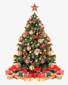 Árvore De Natal - Christmas Tree Decorations, HD Png Download, Free Download