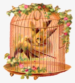 Bird Cage Birds Flowers, HD Png Download, Free Download