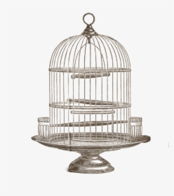 Thumb Image - Bird In Cage Art, HD Png Download, Free Download