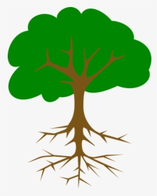 Green, Tree, Roots, Leaves, Root, Support, Leafy - Tree Vector Black Png, Transparent Png, Free Download