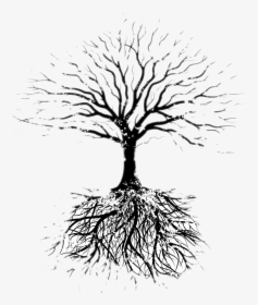 Tree Oak Root Branch - Beloved Toni Morrison Tree, HD Png Download, Free Download