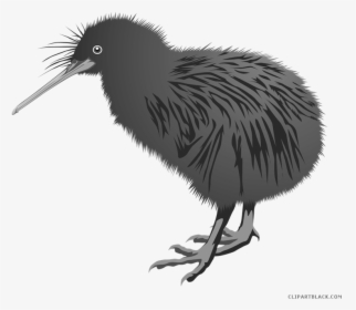 Transparent Clipart Of A Bird - Icon Burung Kiwi, HD Png Download, Free Download
