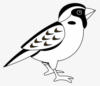 Sparrow Clipart Black And White, HD Png Download, Free Download