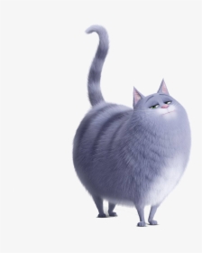 Chloe From Life Of Pets , Png Download - Cat From Pets Life, Transparent Png, Free Download