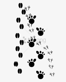 Footprint - Animal Tracks Clipart, HD Png Download, Free Download