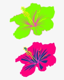 Symmetry,petal,seed Plant - Hibiscus Clip Art Flower, HD Png Download, Free Download
