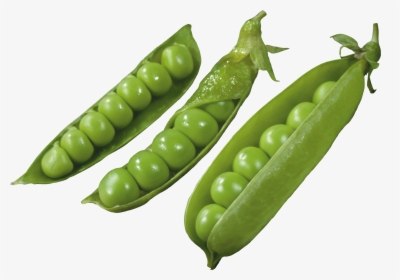 Three Pods With Peas Png Image, Transparent Png, Free Download