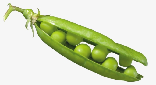 Peas In A Pod Png Image, Transparent Png, Free Download