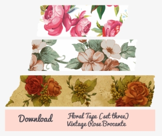 Garden Roses, HD Png Download, Free Download