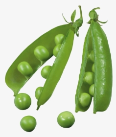 Pea Png - Peas Seed Png, Transparent Png, Free Download