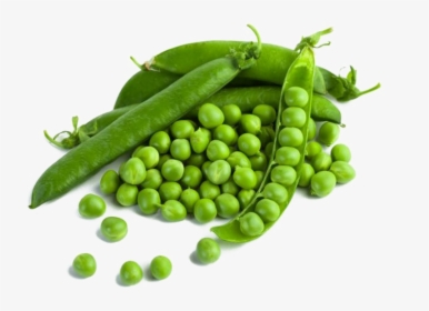Pea Png Photo - Food Crops With Names, Transparent Png, Free Download
