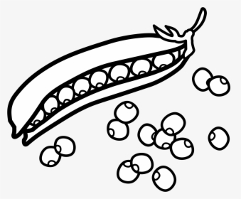 Pea Clipart Pod Real - Peas Black And White, HD Png Download, Free Download