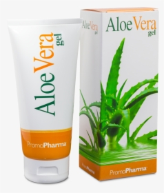 Aloe Vera Png, Transparent Png, Free Download