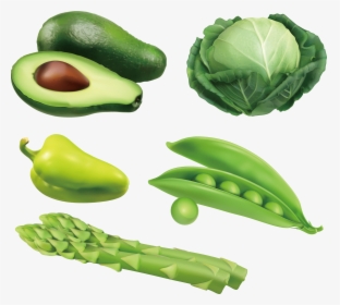 Svg Avocado Vegetable Auglis, HD Png Download, Free Download