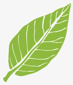 Daun Png, Transparent Png, Free Download