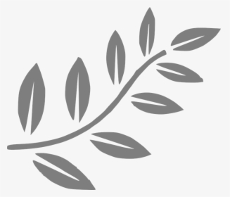 Tree, Branch, Leaves, Oil, Promise, Spring, Plant - Vector Black Leaves Png, Transparent Png, Free Download