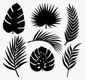Transparent Palmeras Tropicales Png - Tropical Leaves Svg Free, Png Download, Free Download
