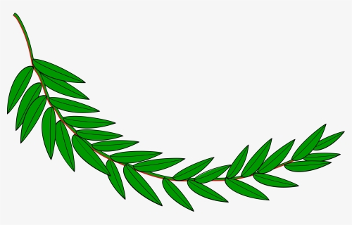 Branch, Laurel, Leaf, Leafy, Leaves, Plant - Hoja De Laurel Dibujo, HD Png Download, Free Download