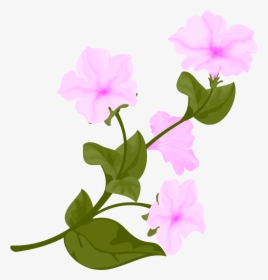 Narciso Flor Rosa Hojas Png E Imagen Vectorial - Trumpet Flower Vector, Transparent Png, Free Download