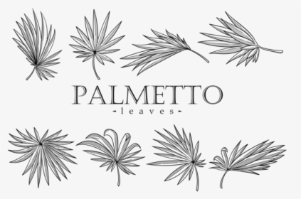 Palmetto Leaf Vector, HD Png Download, Free Download