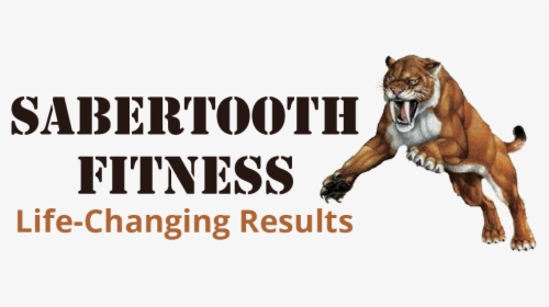 Transparent Saber Tooth Tiger Png - Roar, Png Download, Free Download