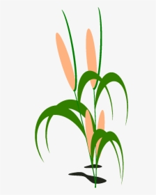 Transparent Corn Vector Png, Png Download, Free Download