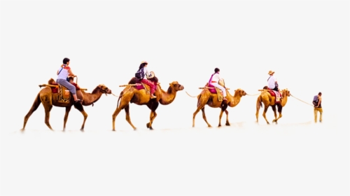 Desert With Camel Png, Transparent Png, Free Download