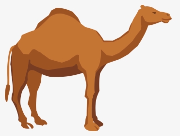 Transparent Camel Clipart Png - Png Camel, Png Download, Free Download