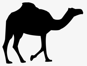 Camel Silhouette, HD Png Download, Free Download