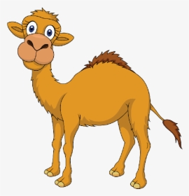 Camel And The Baby Story, HD Png Download, Free Download