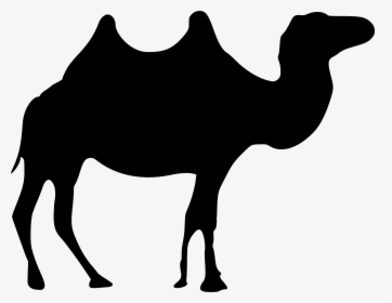 Camel Black And White Png - Transparent Camel Clipart Png, Png Download, Free Download