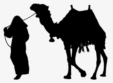 Camel Silhouette Clip Art - Man On Camel Silhouette, HD Png Download, Free Download