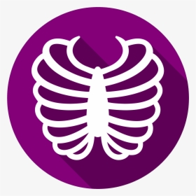 Rib Cage Vector Graphics Computer Icons Bone, HD Png Download, Free Download