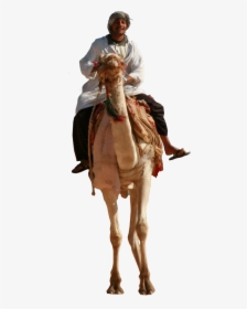 Person Riding Camel Png, Transparent Png, Free Download